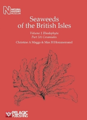 Seaweeds of the British Isles - Christine A Maggs, Max H. Hommersand