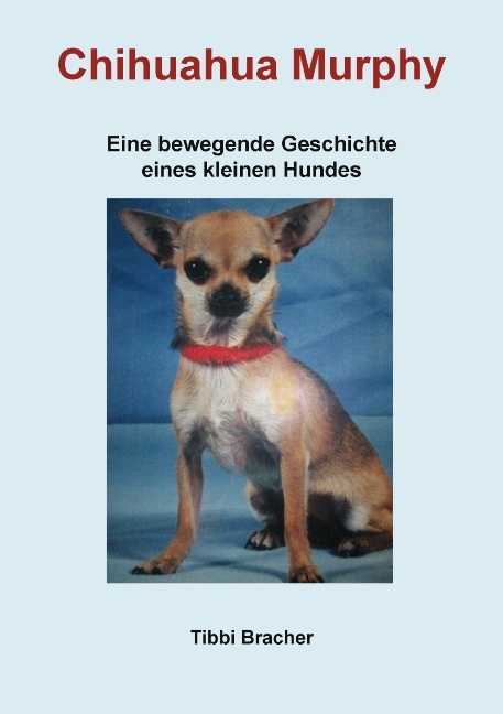 Chihuahua Murphy - Tibbi Bracher