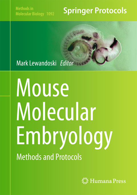 Mouse Molecular Embryology - 