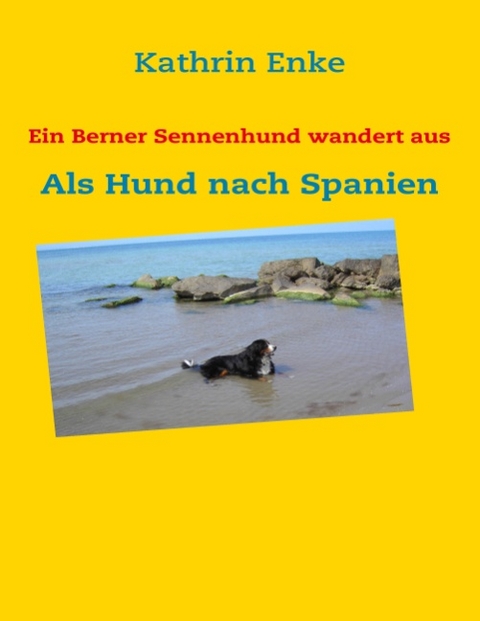 Ein Berner Sennenhund wandert aus - Kathrin Enke