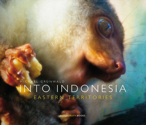 Into Indonesia - Michael Grünwald