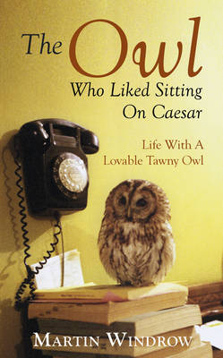 The Owl Who Liked Sitting on Caesar - 