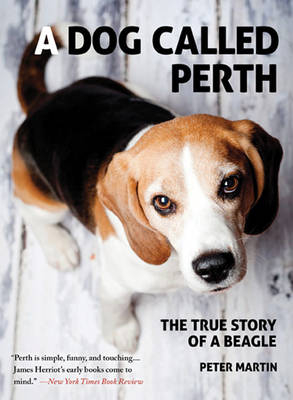 A Dog Called Perth - Peter Martin