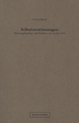 Selbstvernehmungen - Peter Hilgard