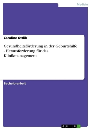 Gesundheitsförderung in der Geburtshilfe - Herausforderung für das Klinikmanagement - Caroline Ottlik