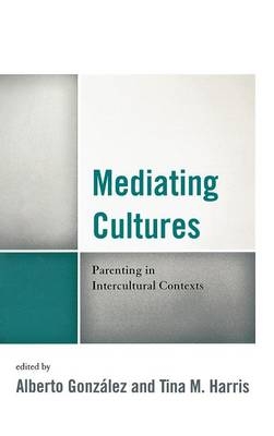 Mediating Cultures - 