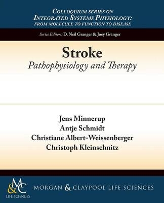 Stroke - Jens Minnerup, Antje Schmidt, Christiane Albert-Weissenberger, Christoph Kleinschnitz