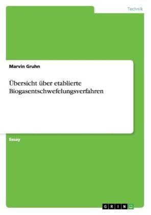 Ãbersicht Ã¼ber etablierte Biogasentschwefelungsverfahren - Marvin Gruhn