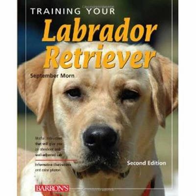 Training Your Labrador Retriever - September Morn