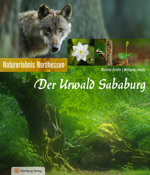 Der Urwald Sababurg - Naturerlebnis Nordhessen - Manfred Delpho, Wolfgang Lübcke
