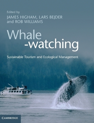 Whale-watching - 