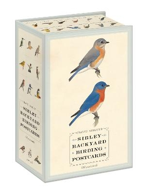 Sibley Backyard Birding Postcards - David Sibley, David Allen Sibley