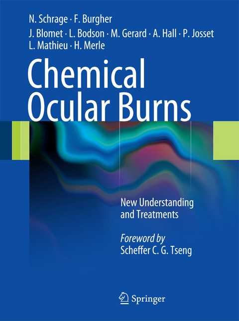 Chemical Ocular Burns - Norbert Schrage, François Burgher, Jöel Blomet, Lucien Bodson, Max Gerard, Alan Hall, Patrice Josset, Laurence Mathieu, Harold Merle