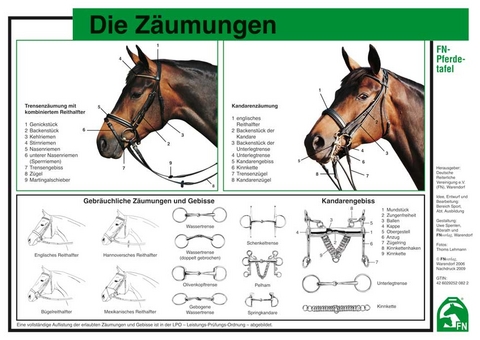 Die Zäumungen - 