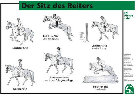 Der Sitz des Reiters - 