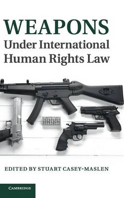 Weapons under International Human Rights Law - 