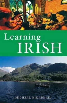 Learning Irish - Micheal O'Siadhail