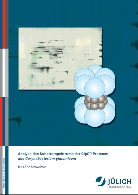 Analyse des Substratspektrums der ClpCP-Protease aus Corynebacterium glutamicum - Jens E Schweitzer