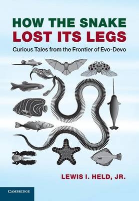 How the Snake Lost its Legs - Jr Held  Lewis I.