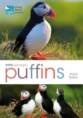 RSPB Spotlight: Puffins - Euan Dunn