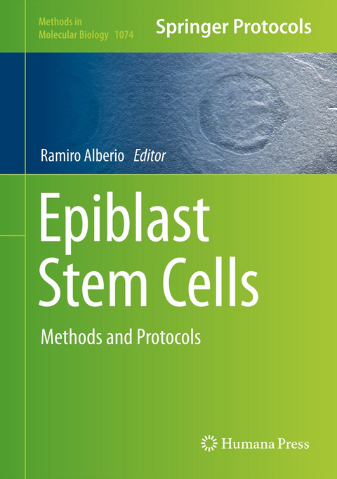 Epiblast Stem Cells - 