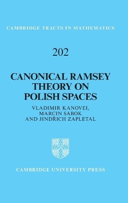 Canonical Ramsey Theory on Polish Spaces - Vladimir Kanovei, Marcin Sabok, Jindřich Zapletal
