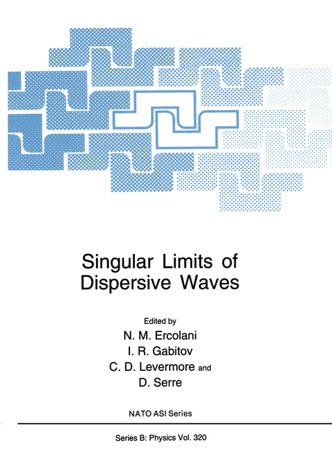 Singular Limits of Dispersive Waves - 