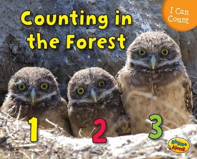 Counting in the Forest - Rebecca Rissman