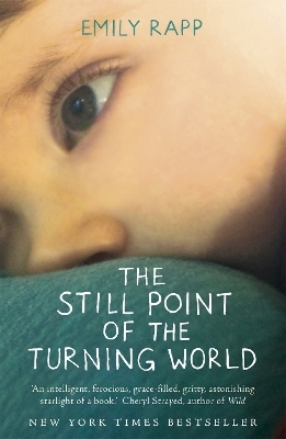 The Still Point of the Turning World - Emily Rapp