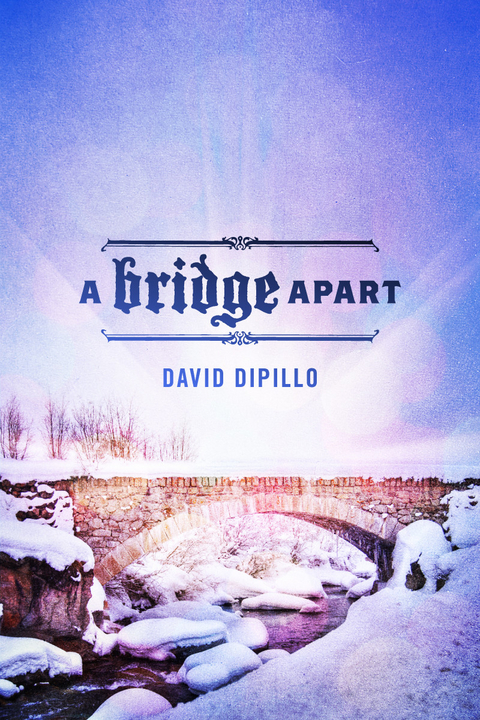 Bridge Apart -  David DiPillo
