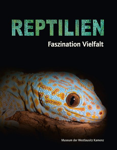 Reptilien - Faszination Vielfalt - Fritz Jürgen Obst