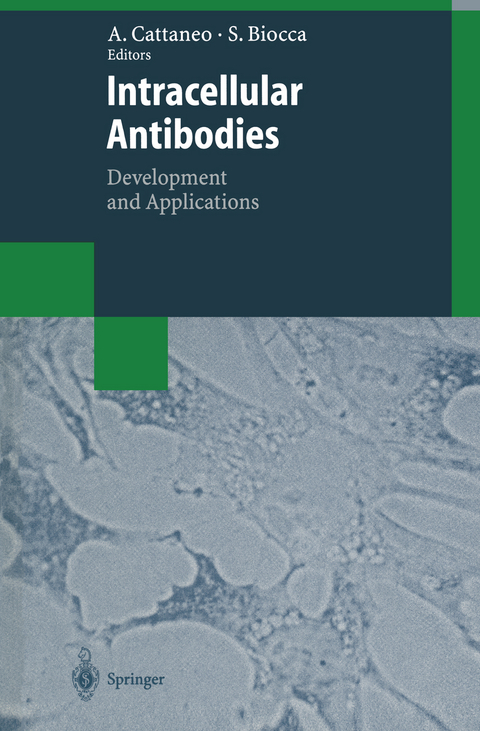 Intracellular Antibodies - 