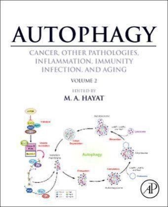 Autophagy: Cancer, Other Pathologies, Inflammation, Immunity, Infection, and Aging - 