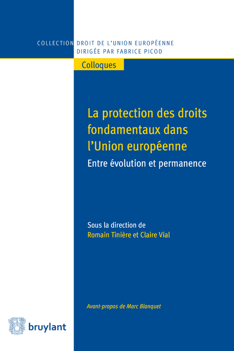 Protection des droits fondamentaux dans l'union Européenne - 