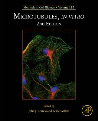 Microtubules, in vitro - 