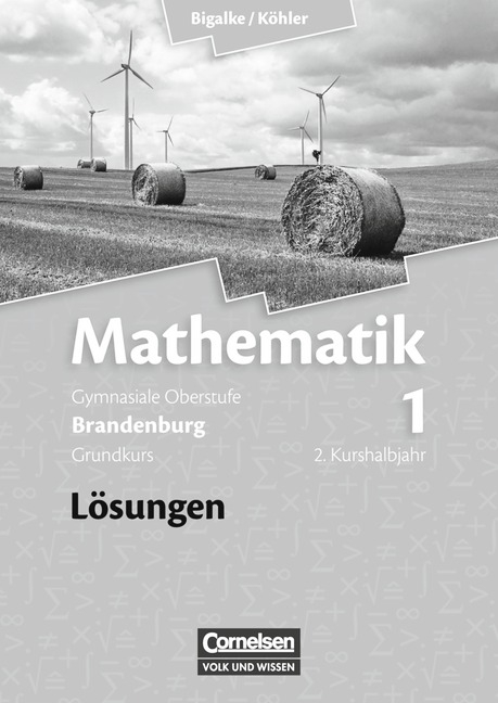 Bigalke/Köhler: Mathematik - Brandenburg - Bisherige Ausgabe / Band 1: 2. Kurshalbjahr/Grundkurs - Qualifikationsphase - Lösungen zum Schülerbuch - Anton Bigalke, Norbert Köhler, Horst Kuschnerow, Gabriele Ledworuski