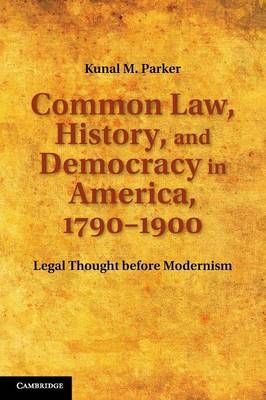 Common Law, History, and Democracy in America, 1790–1900 - Kunal M. Parker