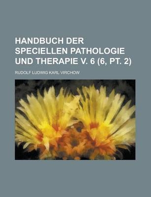 Handbuch Der Speciellen Pathologie Und Therapie V. 6 (6, PT. 2) - Rudolf Ludwig Karl Virchow