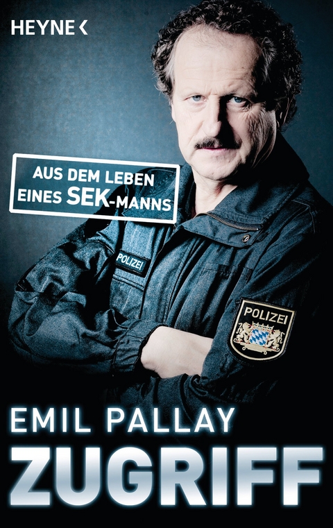 Zugriff -  Emil Pallay