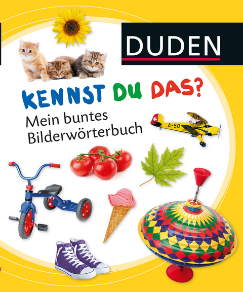 Mein buntes Bilderwörterbuch