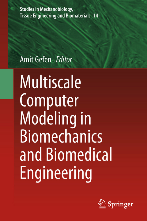 Multiscale Computer Modeling in Biomechanics and Biomedical Engineering - 