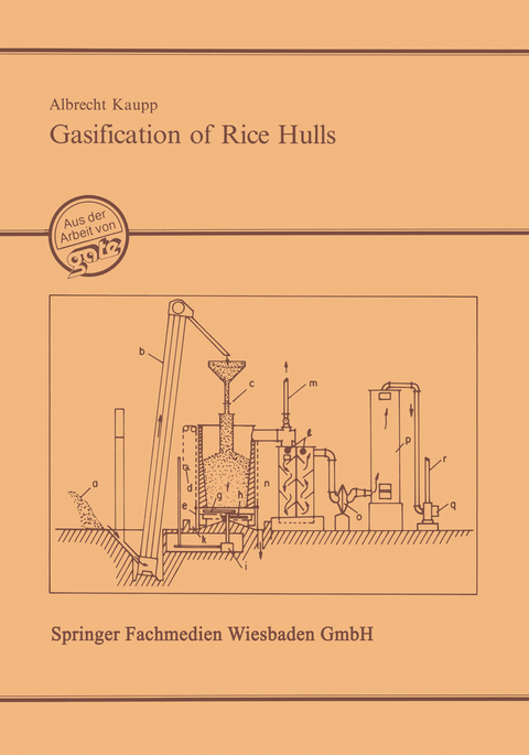 Gasification of Rice Hulls - Albrecht Kaupp