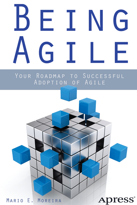 Being Agile - Mario E. Moreira