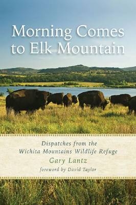 Morning Comes to Elk Mountain - Gary Lantz