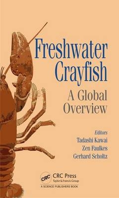 Freshwater Crayfish - 