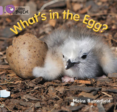 What’s in the Egg? - Moira Butterfield