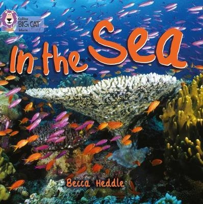 In the Sea - Becca Heddle