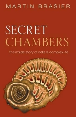 Secret Chambers - Martin Brasier