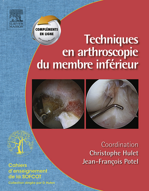 Techniques en arthroscopie du membre inférieur -  Christophe Hulet,  Jean-Francois Potel