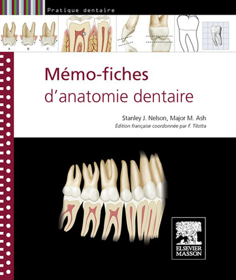 Mémo-fiches d''anatomie dentaire -  Major M. Ash,  Stanley J. Nelson,  Francoise Tilotta